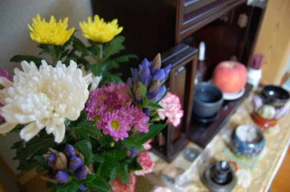 仏壇の花の飾り方は？選び方やタブー、長持ちさせる方法も解説