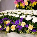 お盆のお供えに最適な花を紹介！選び方・注意点・費用など詳しく解説