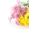 米寿祝いで喜ばれる花とは？料金相場やおすすめの花を紹介！