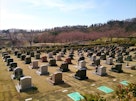太田市営 八王子山公園墓地　墓地
