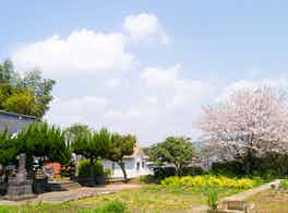 金井寺　のうこつぼ　風景