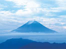 千代田霊苑　富士山
