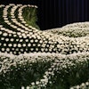 祭壇に飾る花の種類・金額相場！葬儀後は持ち帰る？花祭壇も解説