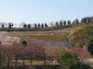 太田市営 八王子山公園墓地　風景