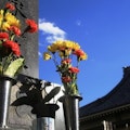 大阪府で人気の霊園・墓地ランキング１０選【価格｜アクセス｜口コミ】